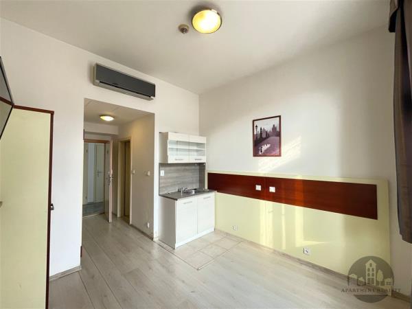 Pronájem, pěkný zařízený byt 1+kk, Prokopova, Praha 3, klimatizace, sklep