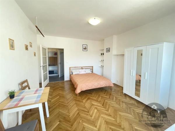 Pronájem, pěkný zařízený byt 1+1, Sokolovská, Praha 8, terasa, metro Florenc, internet