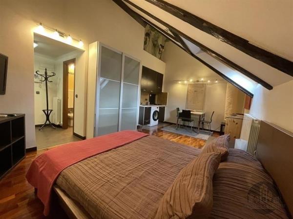 Pronájem, pěkný zařízený byt 1+kk, Cimburkova, Praha 3, nedaleko park Riegrovy sady