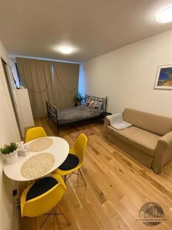 Střednědobý pronájem, zařízený byt 1+kk, Na Valentince, Praha 5 Smíchov, Erasmus