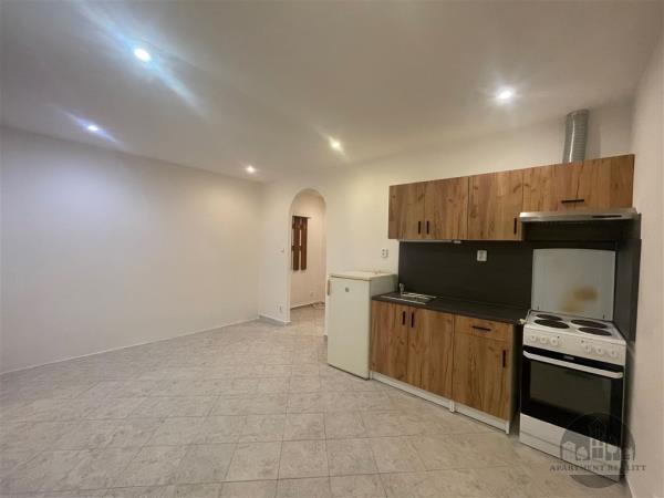 Pronájem, pěkný atelier 2+kk, Biskupcova, Praha 3